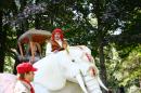 les cornaqueurs 26 * 4368 x 2912 * (5.31MB)